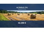 Immobile in asta di 2574 m² in vendita a Altivole