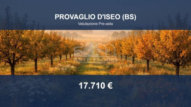 Immobile in asta di 7450 m² in vendita a Provaglio d'Iseo