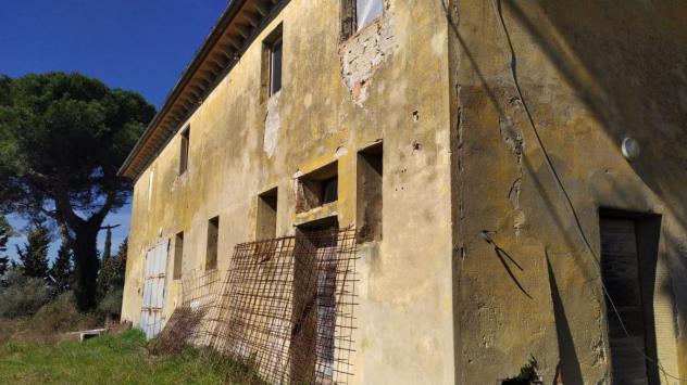Bellissimo Casale Diruto Da Restaurare Immerso nel Verde delle Colline Pisane della Valdera - Foto 2