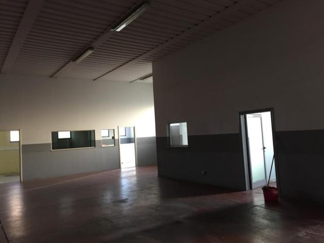 Capannone commerciale in vendita a Grosseto 470 mq Rif: 1369646 - Foto 4