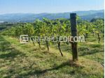 Terreno in vendita a Modigliana - Rif. 4553832