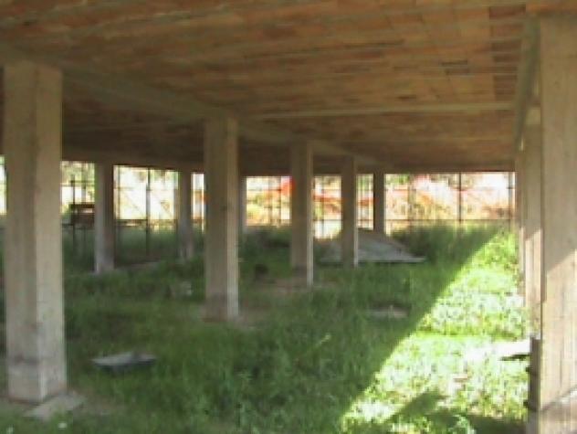 TERRENO AGRICOLO A MONTECORICE PRESSI CASE DEL CONTE/OGLIASTRO MARINA - Foto 5