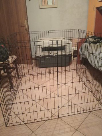 Vendo recinto per cani
