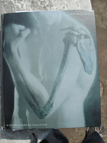 VOLUME DI ANATOMIA UMANA EDITORE EDISES, SCRITTO DA MARTINI,TIMMONS,TALLITSCH - Foto 8