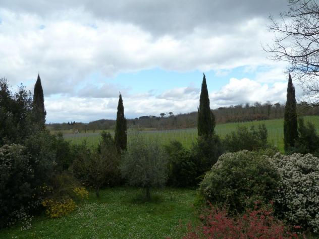 Stanza/Posto Letto in affitto a Siena 17 mq Rif: 1425589 - Foto 8