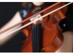 Violinista professionista ad Assago per matrimoni ed eventi