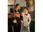 Violinista Bergamo