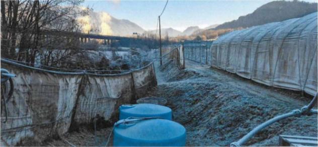 Immobile in asta di 30279 m² in vendita a Borgo Valsugana - Foto 8