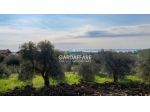 TERRENO AGRICOLO DI VISTA LAGO A MONIGA DEL GARDA