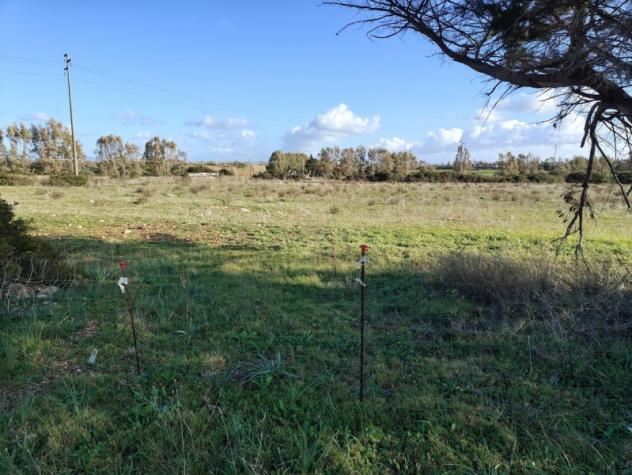 Sassari vendesi terreno agricolo 17043 Mq