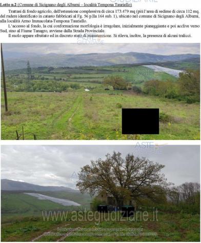 IMMOBILI-ALTRA CATEGORIA-località Tempona Tauriello - Foto 3