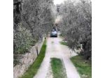 Bed &Breakfast L'Uliveto