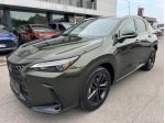 Lexus NX Plug-in Premium+ AWD