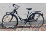 WEG donna 26