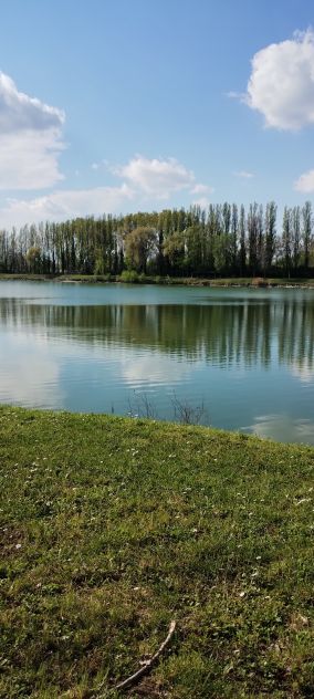 Lago pesca sportiva e ristorante + altre strutture TO