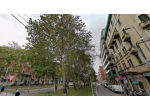 Stanza singola balcone giardino privato 565eu