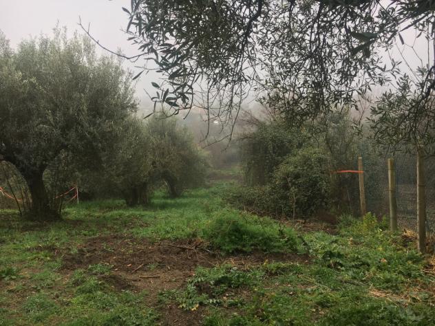 Agricolo in vendita a Sacrofano - Foto 7