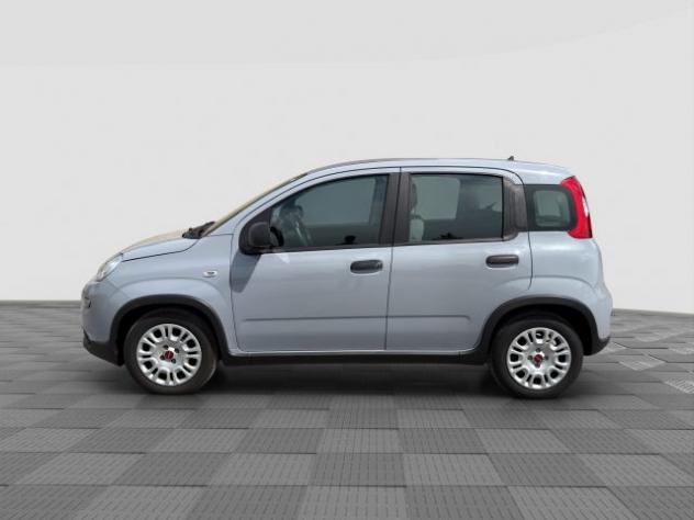 FIAT Panda Panda 1.0 FireFly Hybrid City Life rif. 23674665 - Foto 2