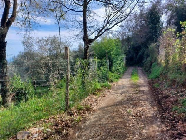 Rustico in vendita a Ameglia - Foto 7