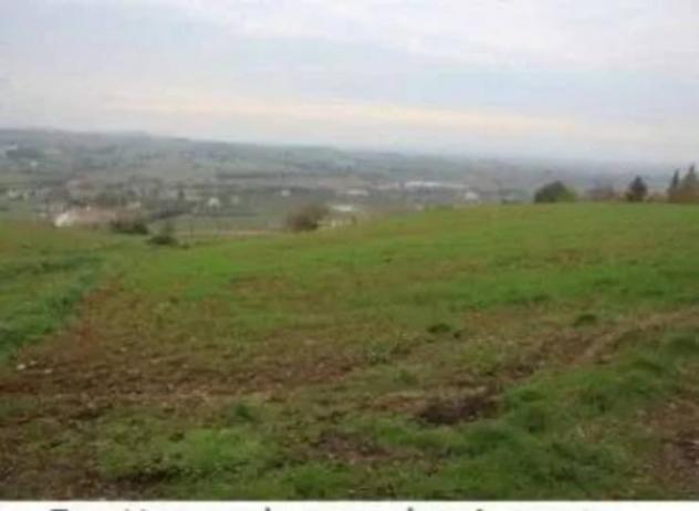 Immobile in asta di 31128 m² in vendita a Forlì - Foto 6