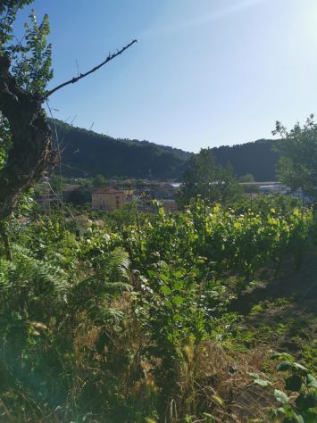 Pozzuoli via Petrarsa Ampio appezzamento terreno con ruderi sovrastanti - Foto 8