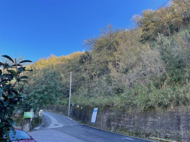 terreno con piccolo rudere - Foto 3