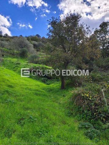 Terreno in vendita a Limina - Rif. 4555631 - Foto 2