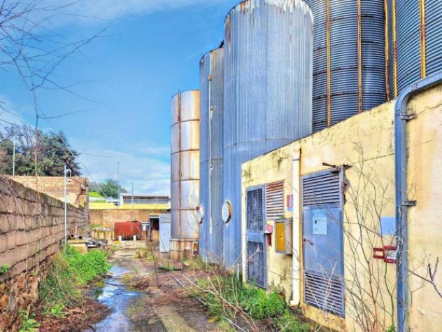 Immobile in asta di 1112 m² in vendita a Irgoli - Foto 10