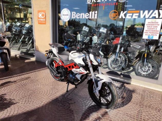 BENELLI BN 125 EURO 5 - NUOVO MODELLO 2025 - FINANZIABILE rif. 23992625 - Foto 3