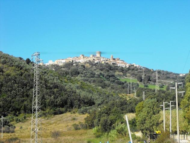 Agricolo in Via Salicuneta