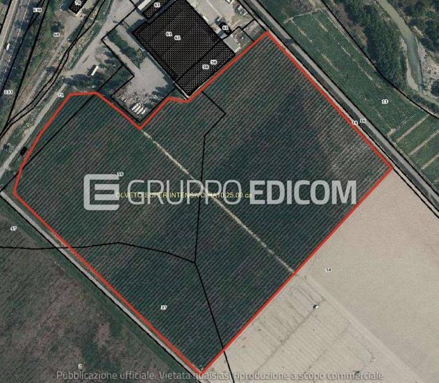 Terreno in vendita a Rotondella - Rif. 4549506 - Foto 3