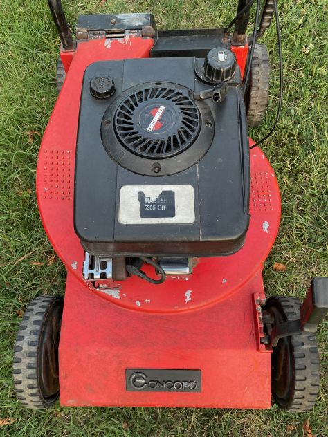 TOSAERBA A TRAZIONE TAGLIANDATO - Foto 3