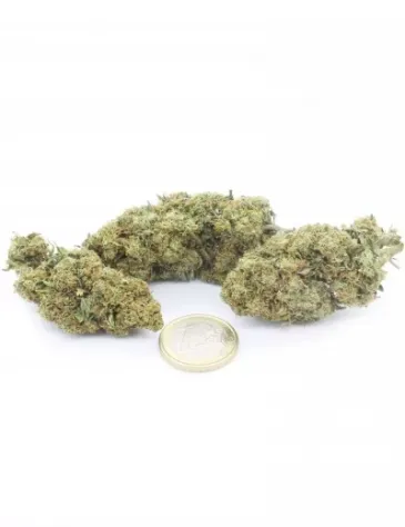 Gelato 41 Indoor - Foto 3