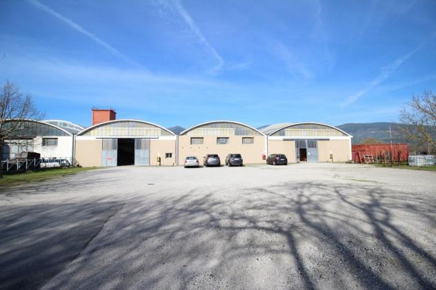 Capannone industriale in affitto a Bientina 1500 mq Rif: 1311886 - Foto 2