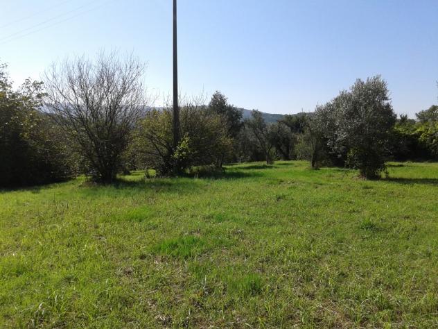 Terreno edificabile in vendita a Casciana Terme Lari - Foto 6