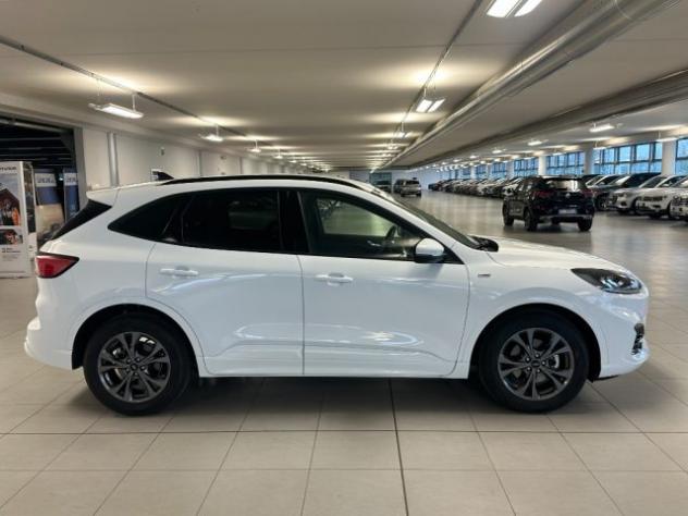 FORD Kuga 2.5 FULL HYBRID 190CV ST-LINE C.AUTO rif. 24198079 - Foto 8