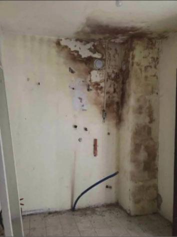 Immobile in asta di 451 m² con più di 5 locali in vendita a Jolanda di Savoia - Foto 9