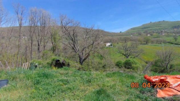 Immobile in asta di 362 m² con più di 5 locali in vendita a Satriano di Lucania - Foto 2