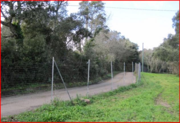Immobile in asta di 258 m² con più di 5 locali in vendita a Tempio Pausania - Foto 7