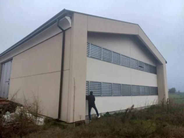 Immobile in asta di 1081 m² in vendita a Finale Emilia - Foto 15