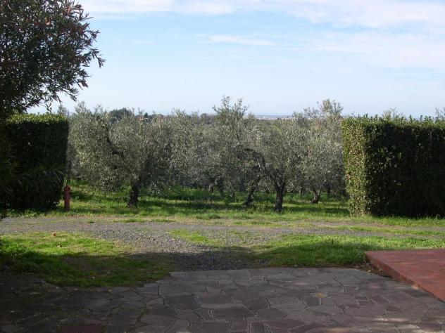 Terreno agricolo in vendita a Casale Marittimo 240000 mq Rif: 1177352 - Foto 6