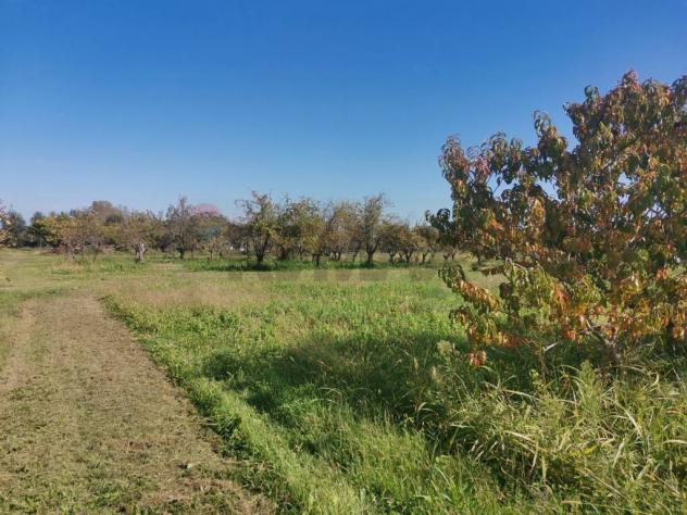 Terreno in vendita a Melilli, Villasmundo - Foto 3