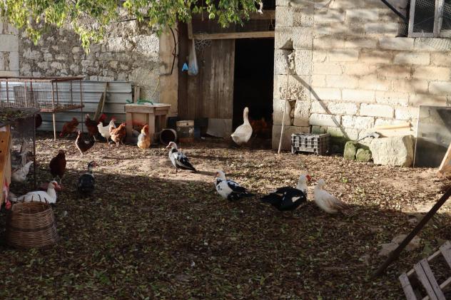 Cascina/Casale in vendita a Ragusa, Ibla - Foto 6