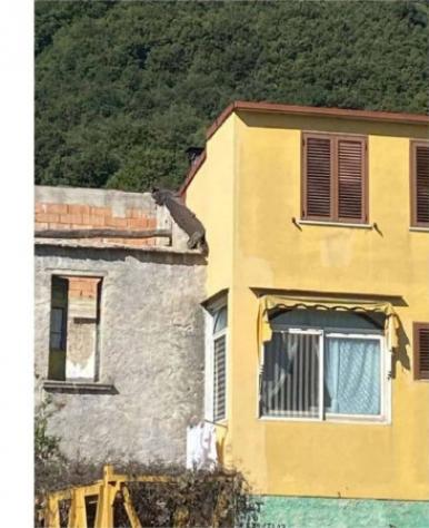 Immobile in asta di 83 m² in vendita a Mercato San Severino - Foto 4