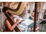 Arpa e violino per musica al matrimonio in Liguria
