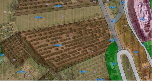 Terreno edificabile in vendita a Colonnella - Foto 5