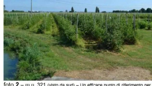 Immobile in asta di 47488 m² in vendita a Villaga - Foto 2
