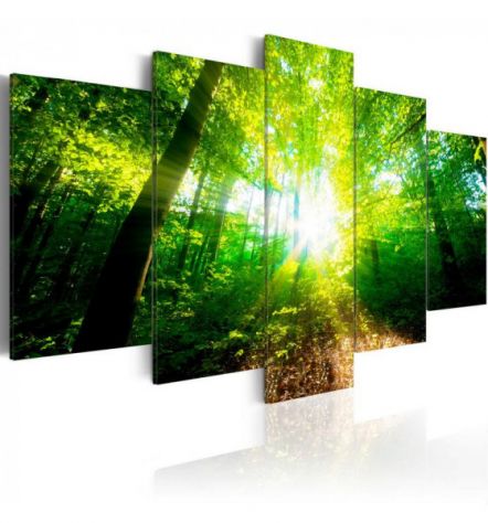 Quadro Foresta Incantata Verde 100x50 E 200x100 ARREDALACASA