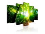 Quadro Foresta Incantata Verde 100x50 E 200x100 ARREDALACASA