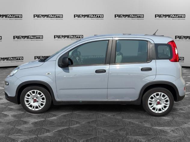FIAT Panda 1.0 FireFly 70cv S&S Hybrid - Foto 2